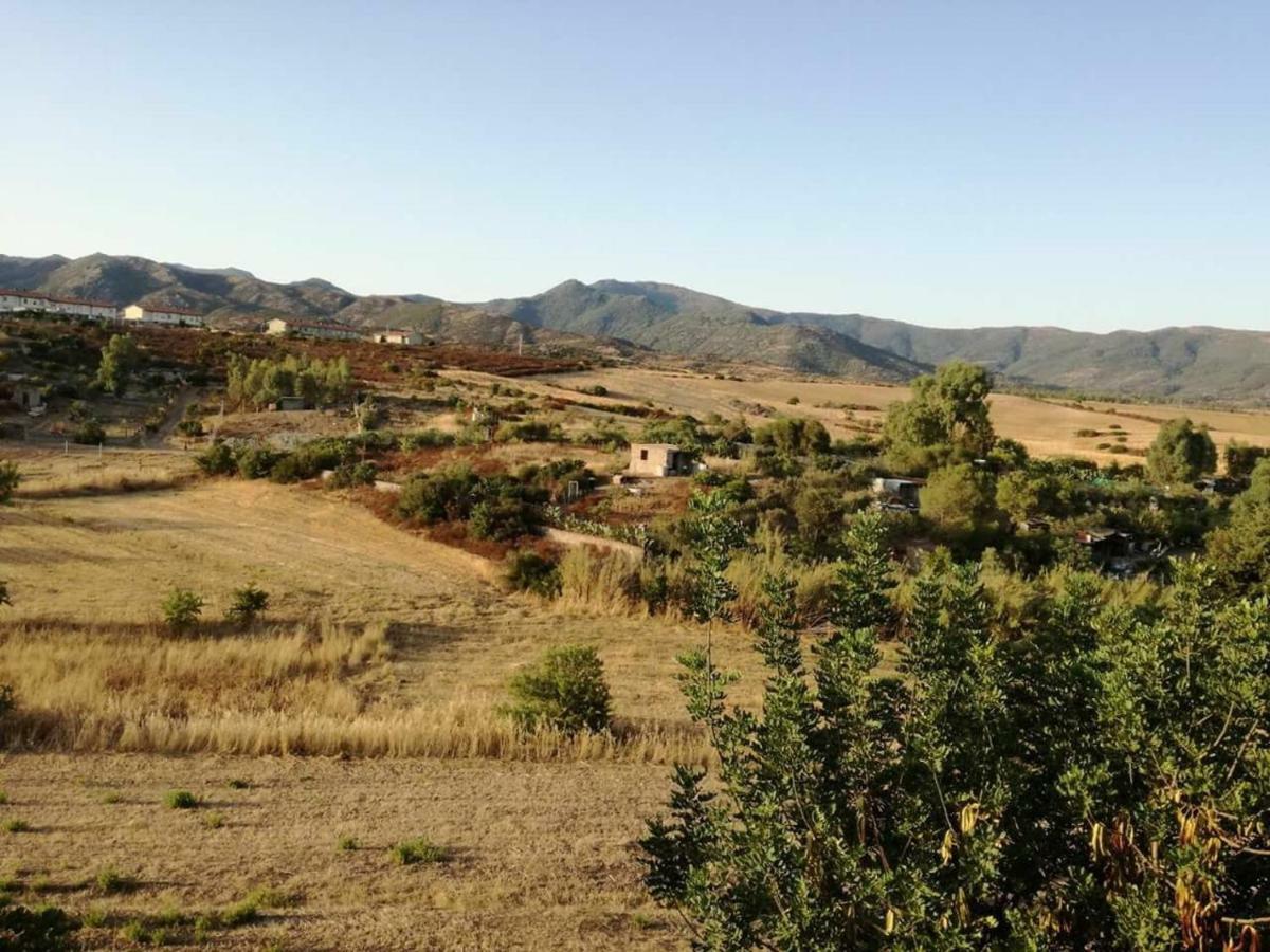 Casa Vacanza Il Mandorlo Domusnovas ภายนอก รูปภาพ