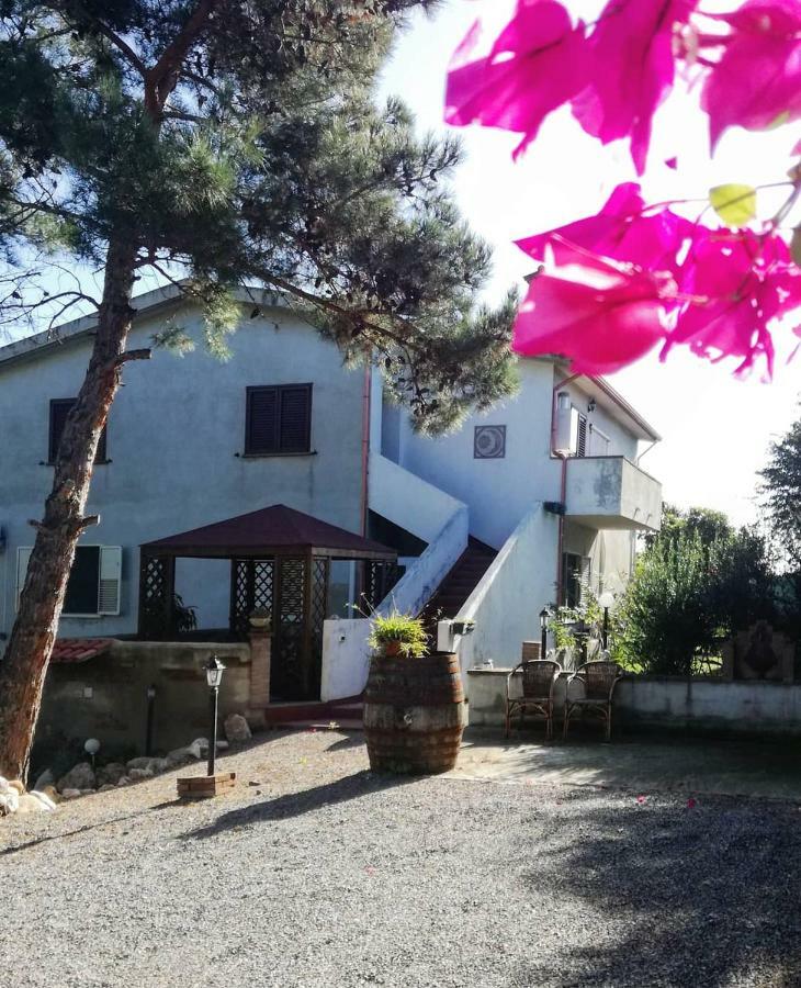 Casa Vacanza Il Mandorlo Domusnovas ภายนอก รูปภาพ
